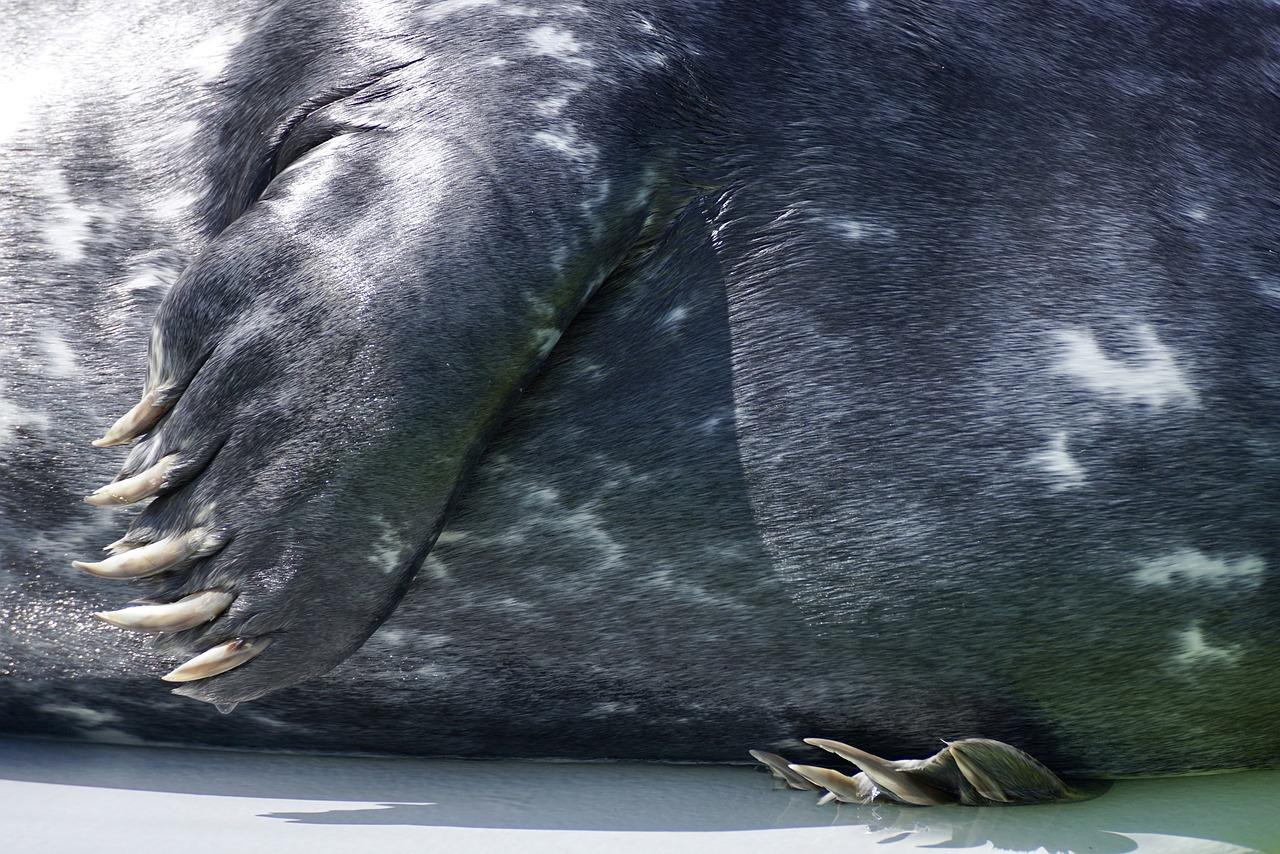 2. 封口夹适用场景