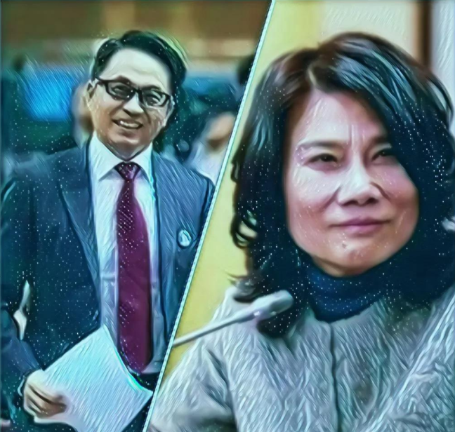 董小姐的老板高瓴张磊用300多亿收购飞利浦到底是为什么?