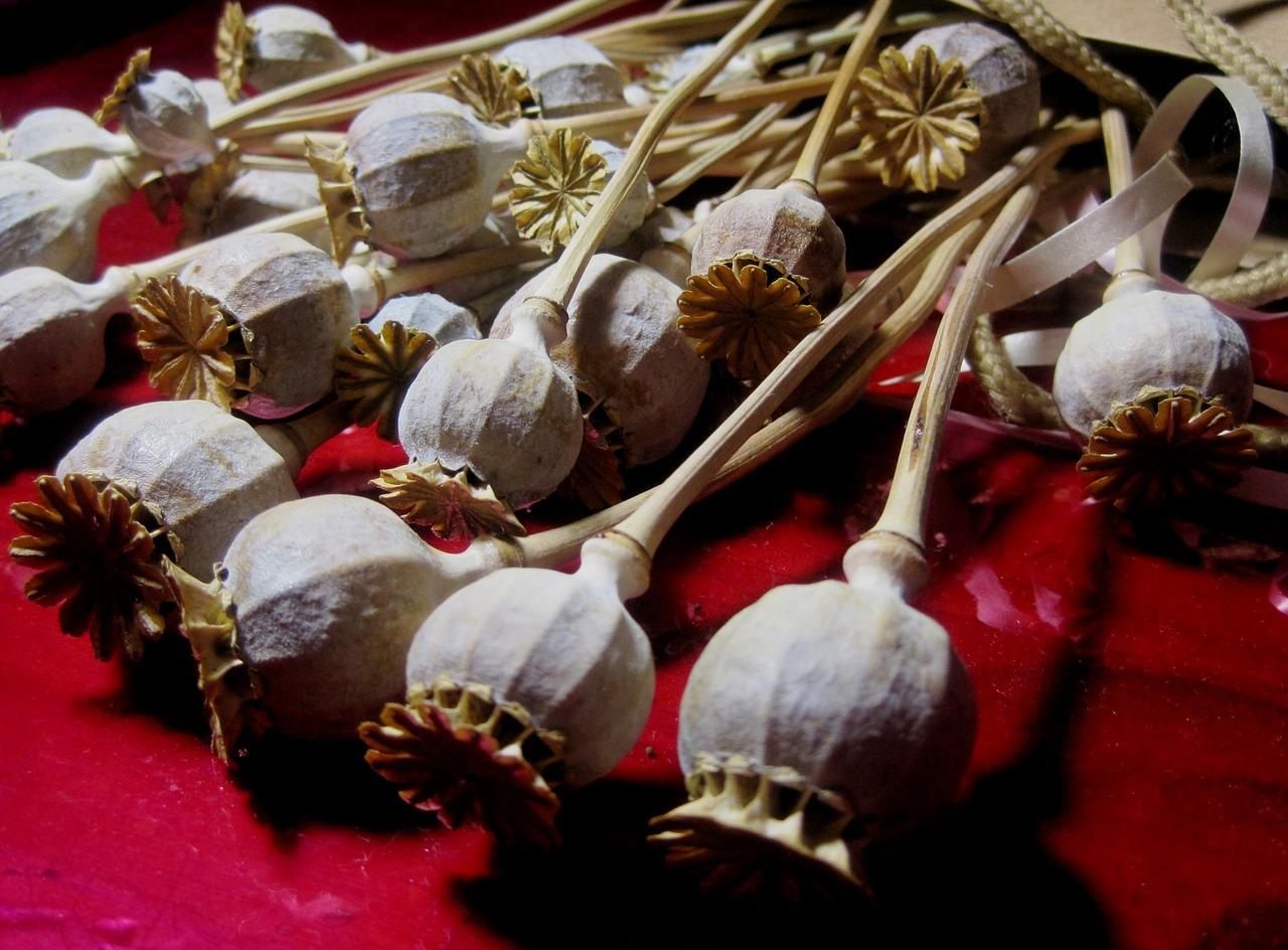 衣服漂白水怎么用