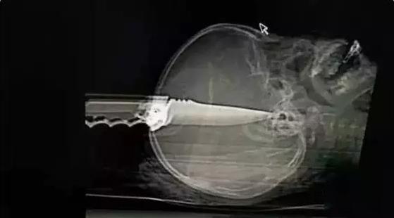 吸毒出现幻觉有多可怕?