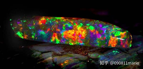 如何成为一块优秀的化石?