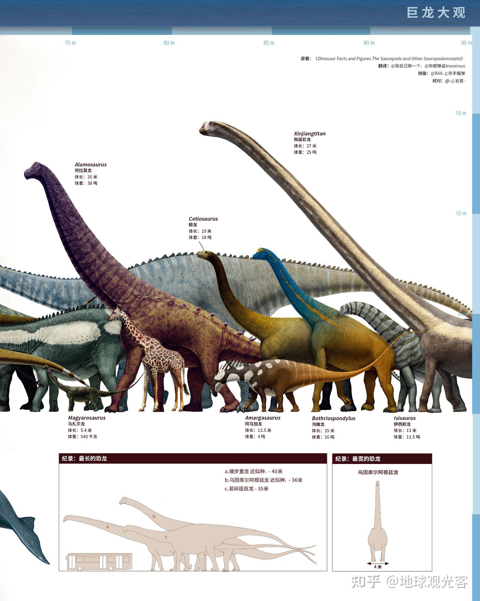 有哪些比较全的恐龙带名字的图片呢?