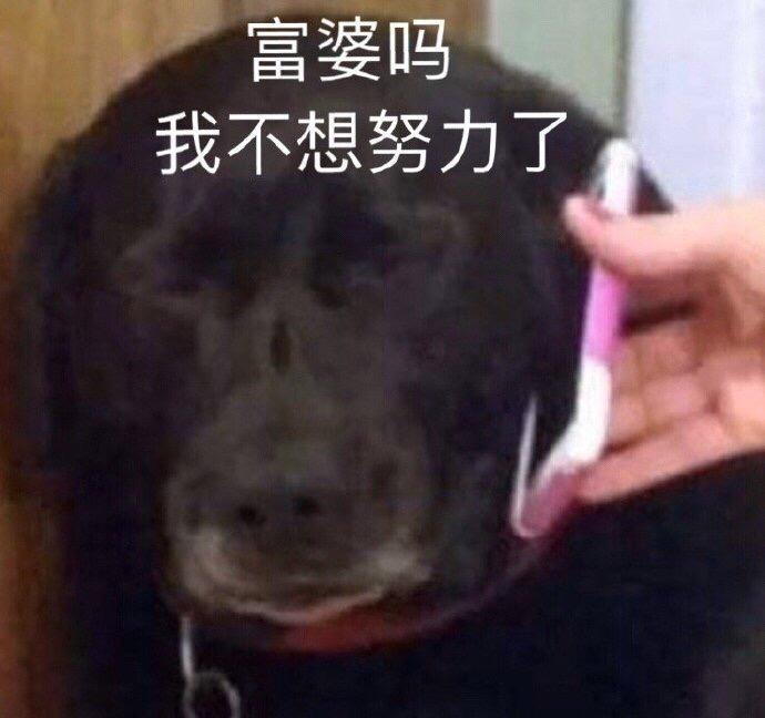 文案皇上沙雕,文案皇上沙雕句子