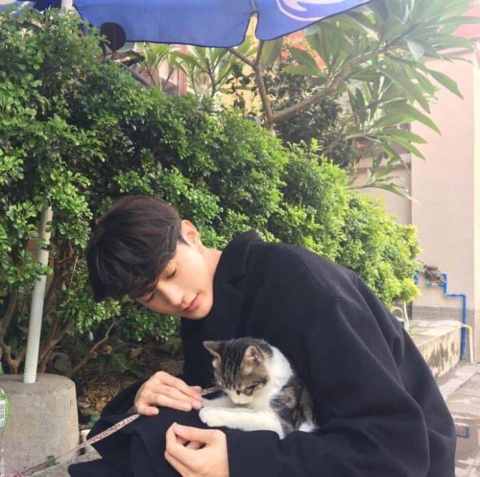 有没有男生抱着猫的头像呀