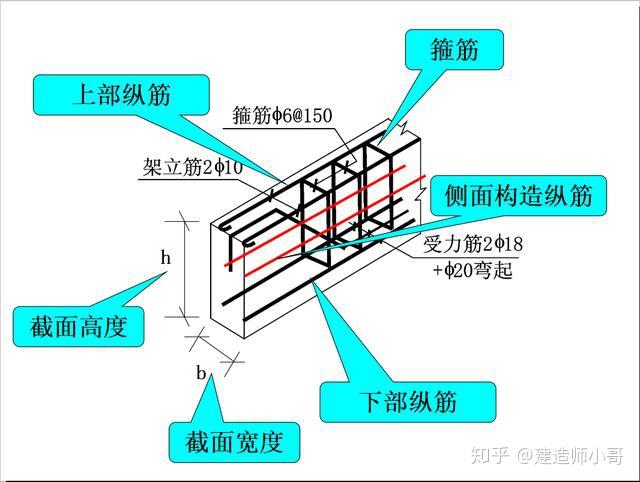 钢筋平法概念图片