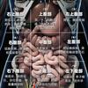 小心肝做梦在睡觉