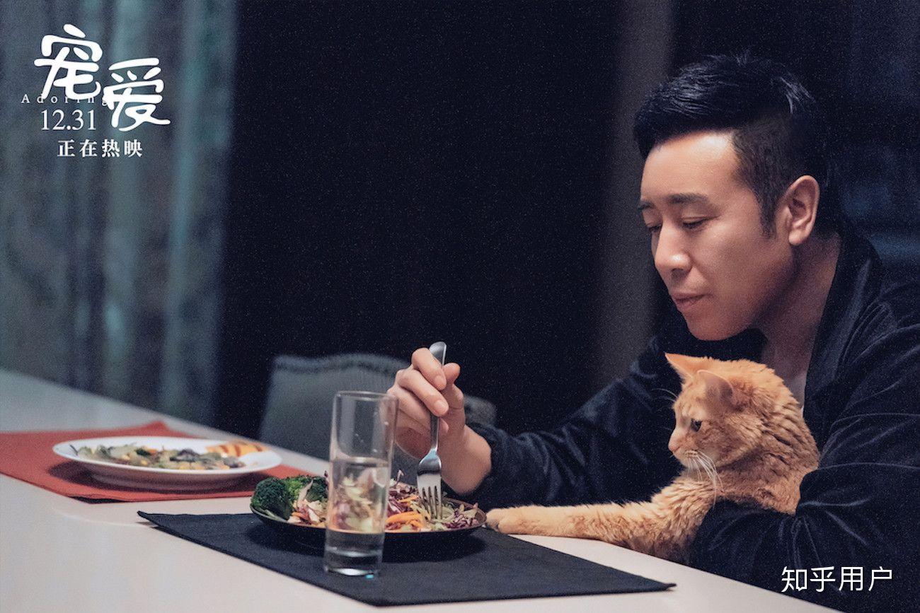 如何评价电影《宠爱》?