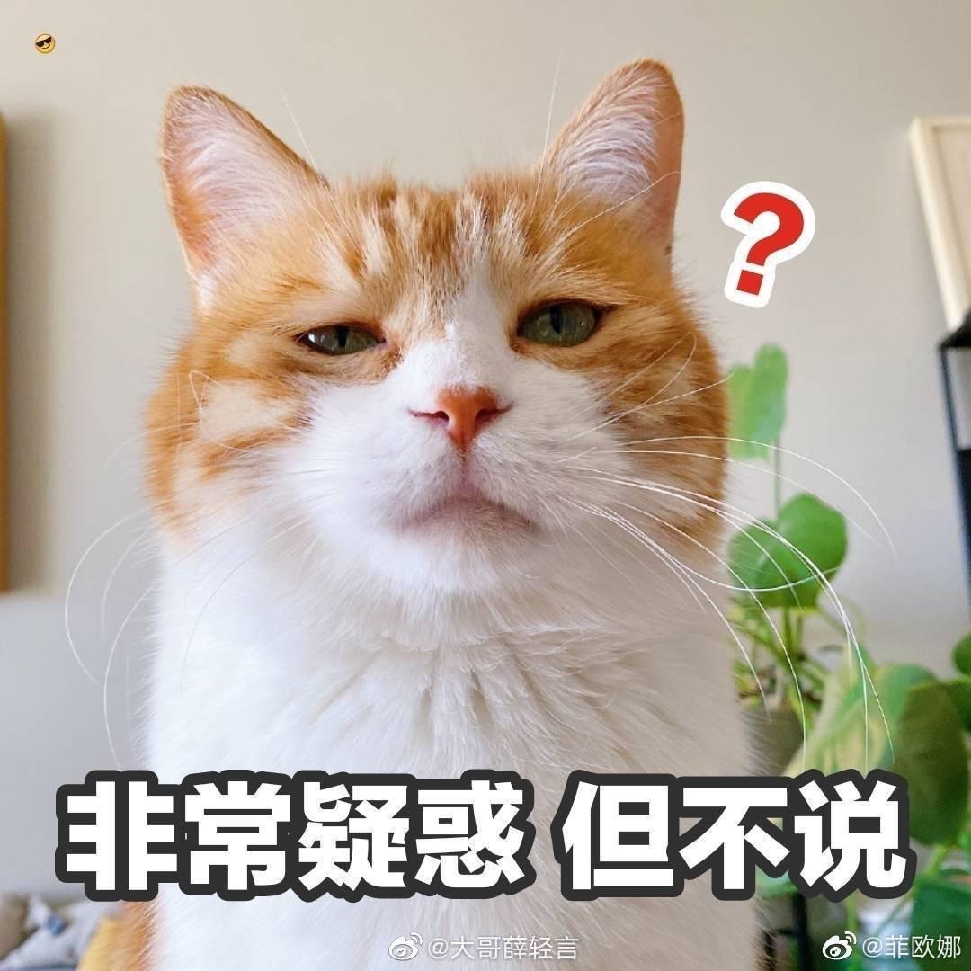 如何看待王丽坤在《乘风破浪的姐姐》第一期选歌环节的表现?