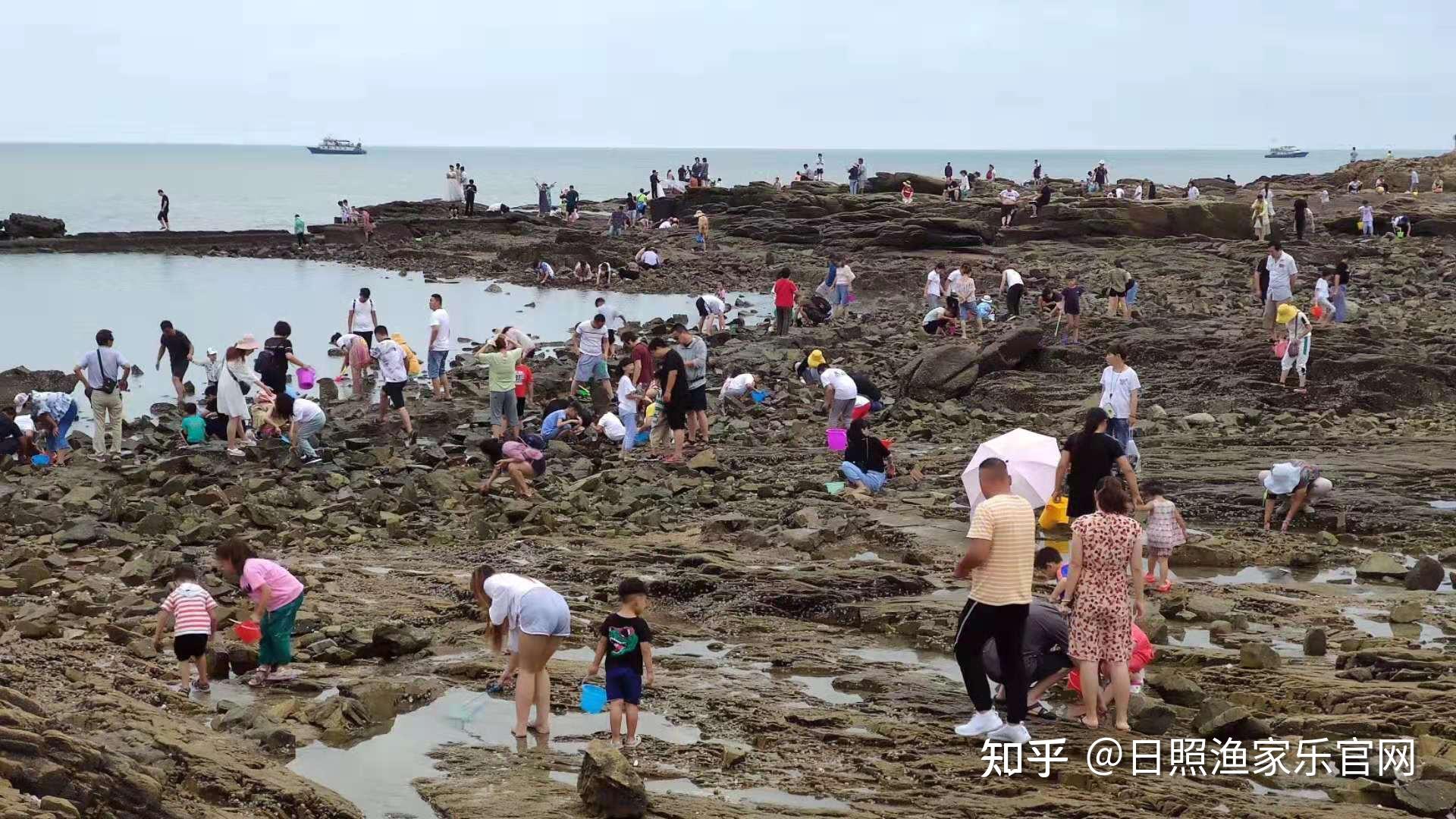 2020刘家湾赶海园-旅游攻略-门票-地址-问答-游记点评，日照旅游旅游景点推荐-去哪儿攻略