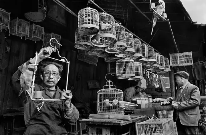 吴家林我以前的摄影作品是欺骗过老百姓的