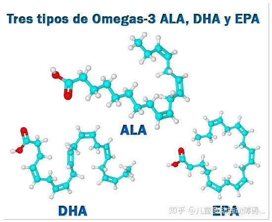 不饱和脂肪酸,在第三个碳原子和第四个碳原子之间具有第一个双键(n-3)