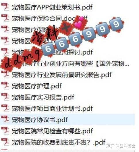 德文卷毛猫繁育颜色搭配繁育配色表