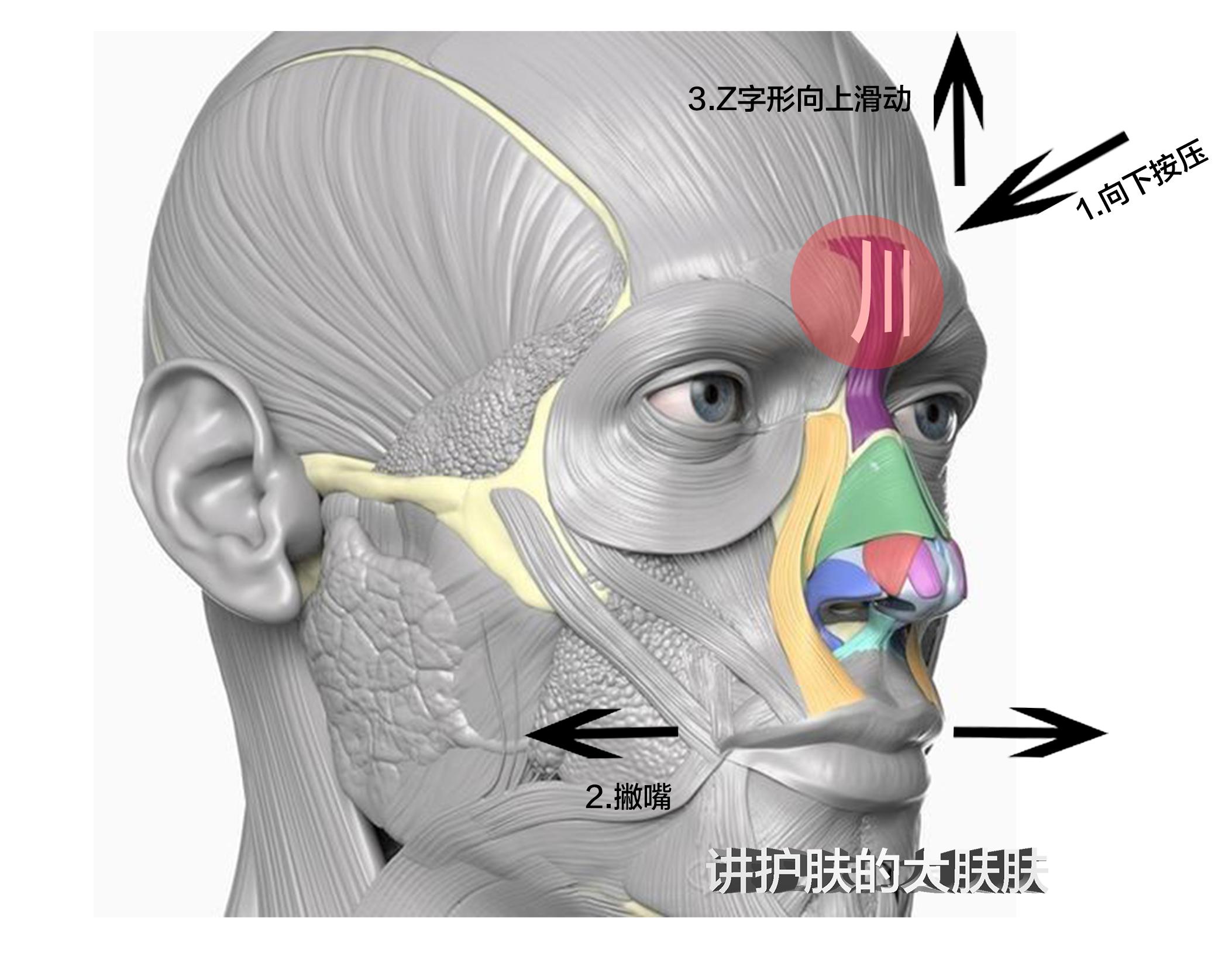 一起和川字纹说拜拜