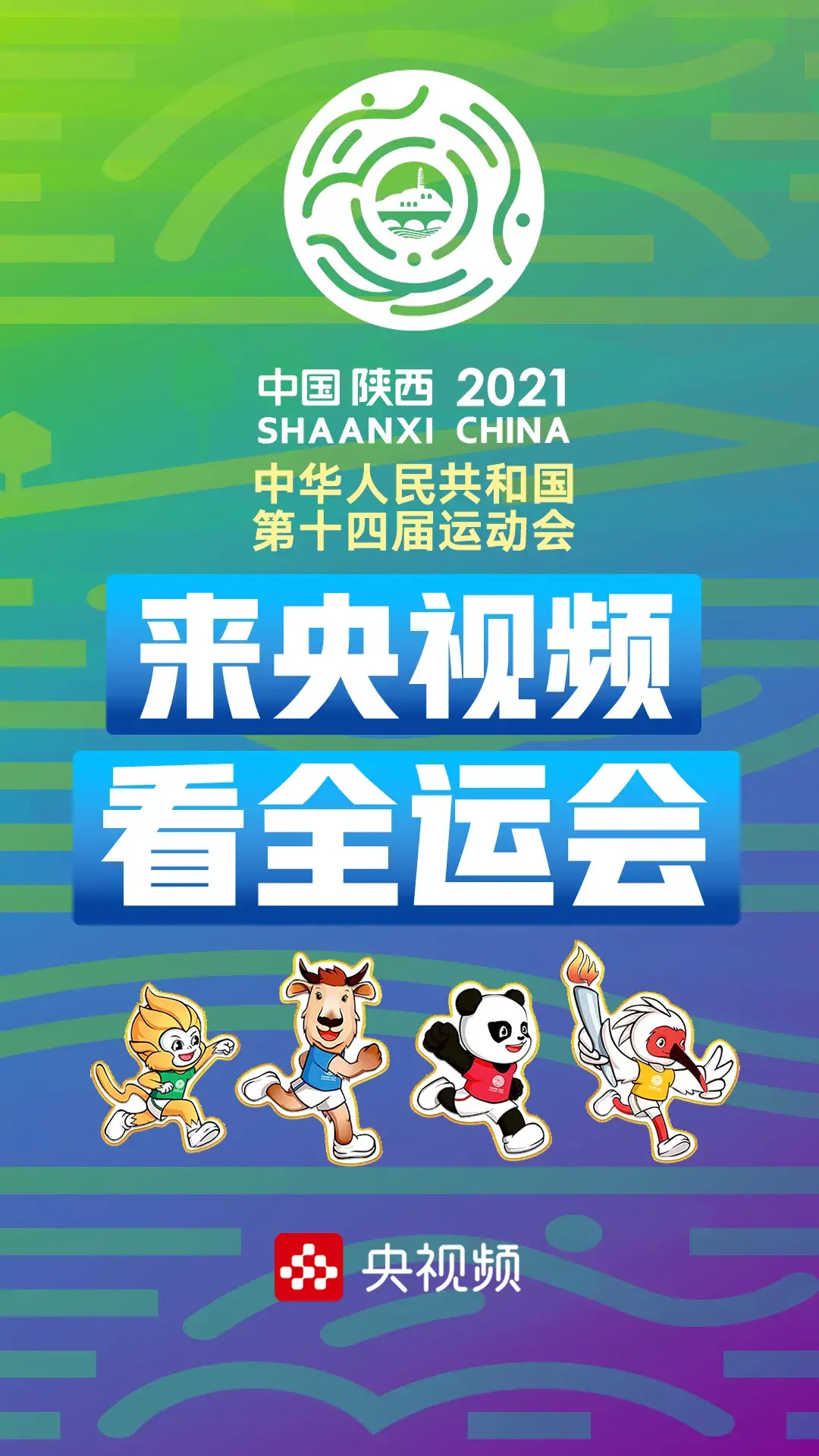 "神仙过招"的十四届全运会,美滴很!