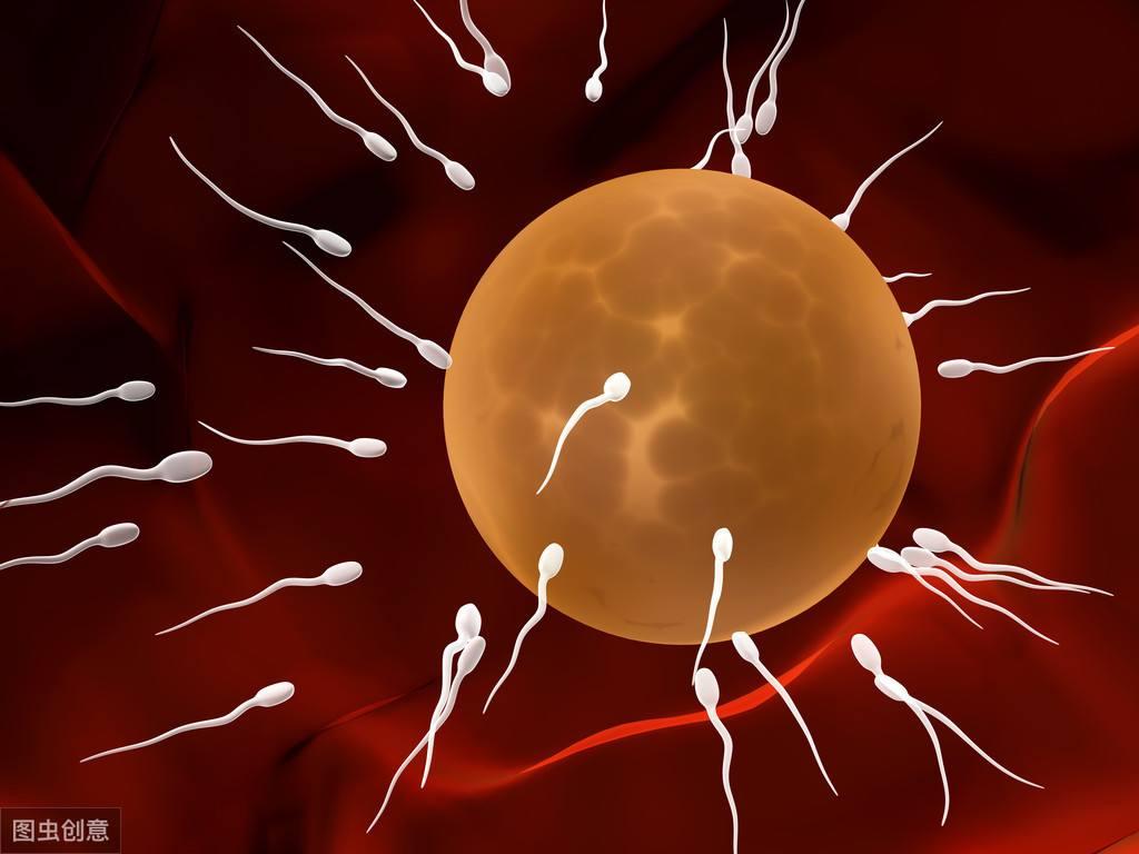 Human sperm cells around egg cell — Stock Photo © koya979 #25800511