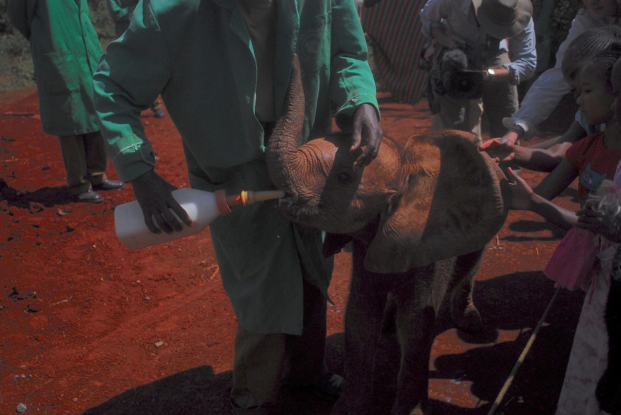 5. 奶瓶设计特点
