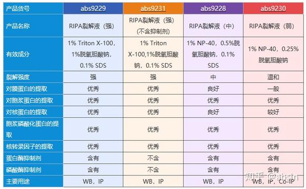 absin常规试剂 细胞裂解液 知乎