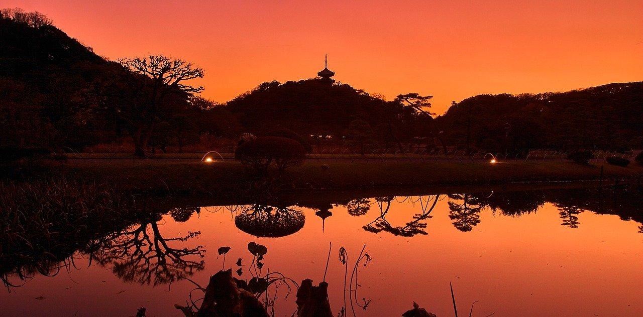 5. 明治公园周边路