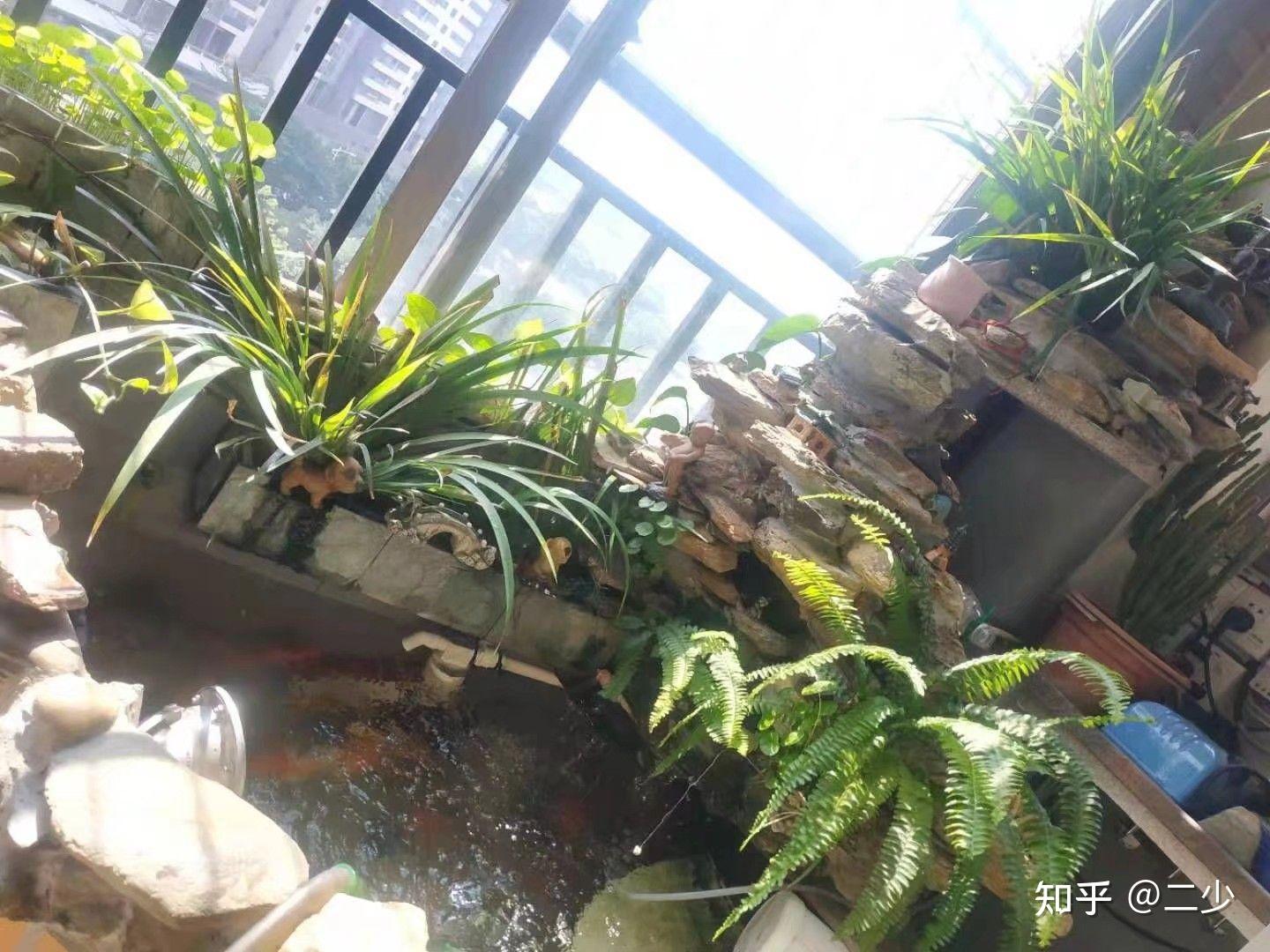 想自己用水泥做个鱼缸有没有有经验的师傅教一下细节