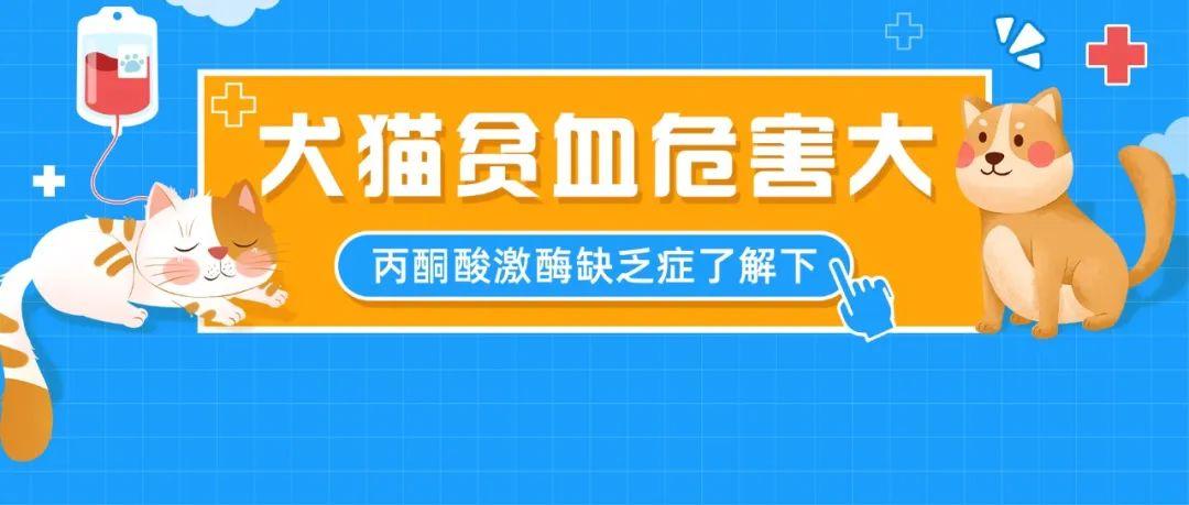 乾貨分享|丙酮酸激酶缺乏症——犬貓貧血的原因之一通知|樣本郵寄地址