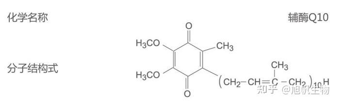 辅酶Q10 (泛醌)强效的皮肤抗氧化剂 - 知乎