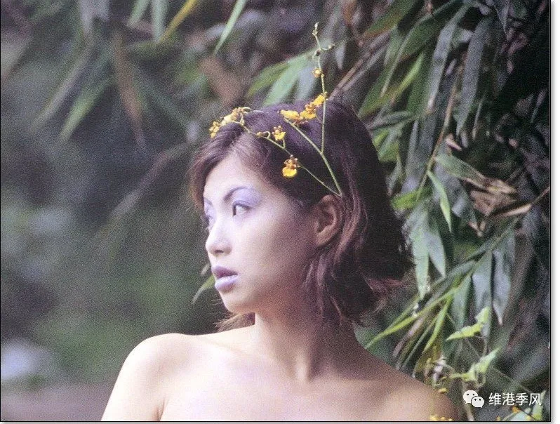 厘陕香耳隶贷府美剖蛋贪星踊镊十九：杨捅播（徐锦江无敌风火轮和蜻蜓点水）