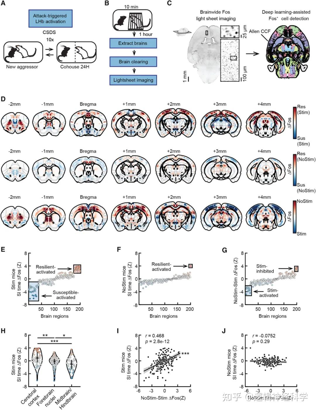 Neuron︱突破!普林斯顿大学团队揭示应激时侧缰核活动的增强引起全脑和行为的易感性基础 - 知乎