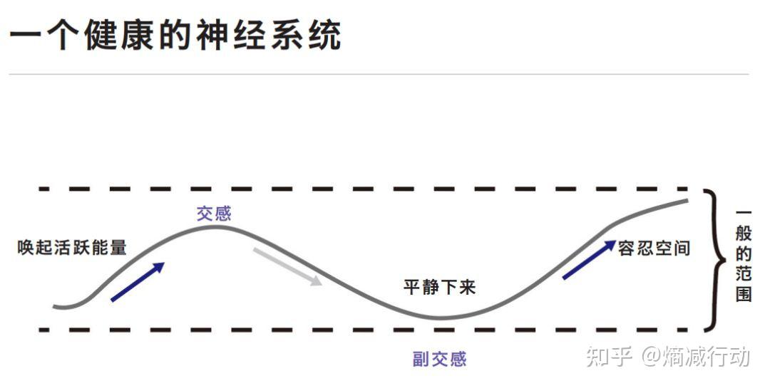 有关身心健康的自律神经