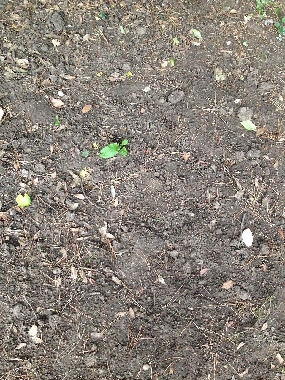 3. 盐碱地土壤改良