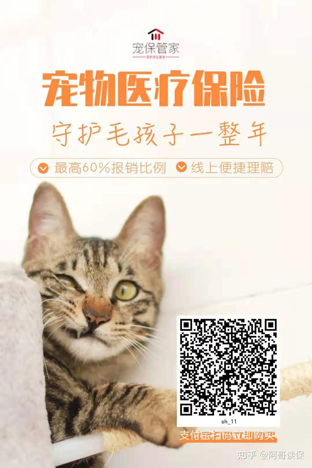 男色经济滑向暧昧深处哈希娱乐- 哈希游戏平台- 哈希游戏官方网站