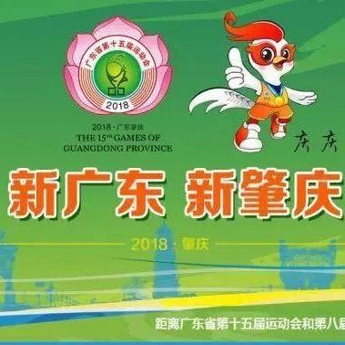 新时代新广东第十五届广东省运动会正式开幕