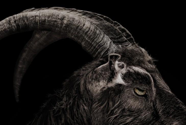 为什么在西方文化中,恶魔经常以山羊的形象出现?