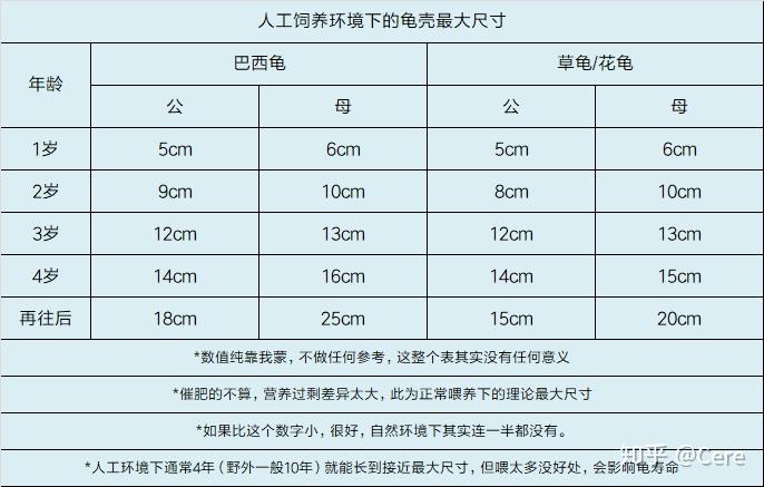 而且塑料的爬宠箱