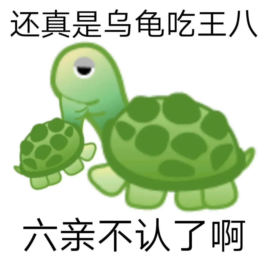 乌龟吃王八——六亲不认27.麻雀啄了牛屁股——雀食牛逼26.