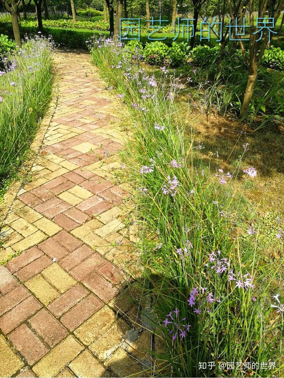 花园研究:30种景观园路案例分析(上篇)