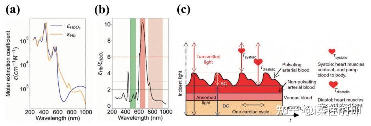 综述：用于 SpO2 监测的柔性可穿戴全有机PPG传感器的最新进展 - 知乎