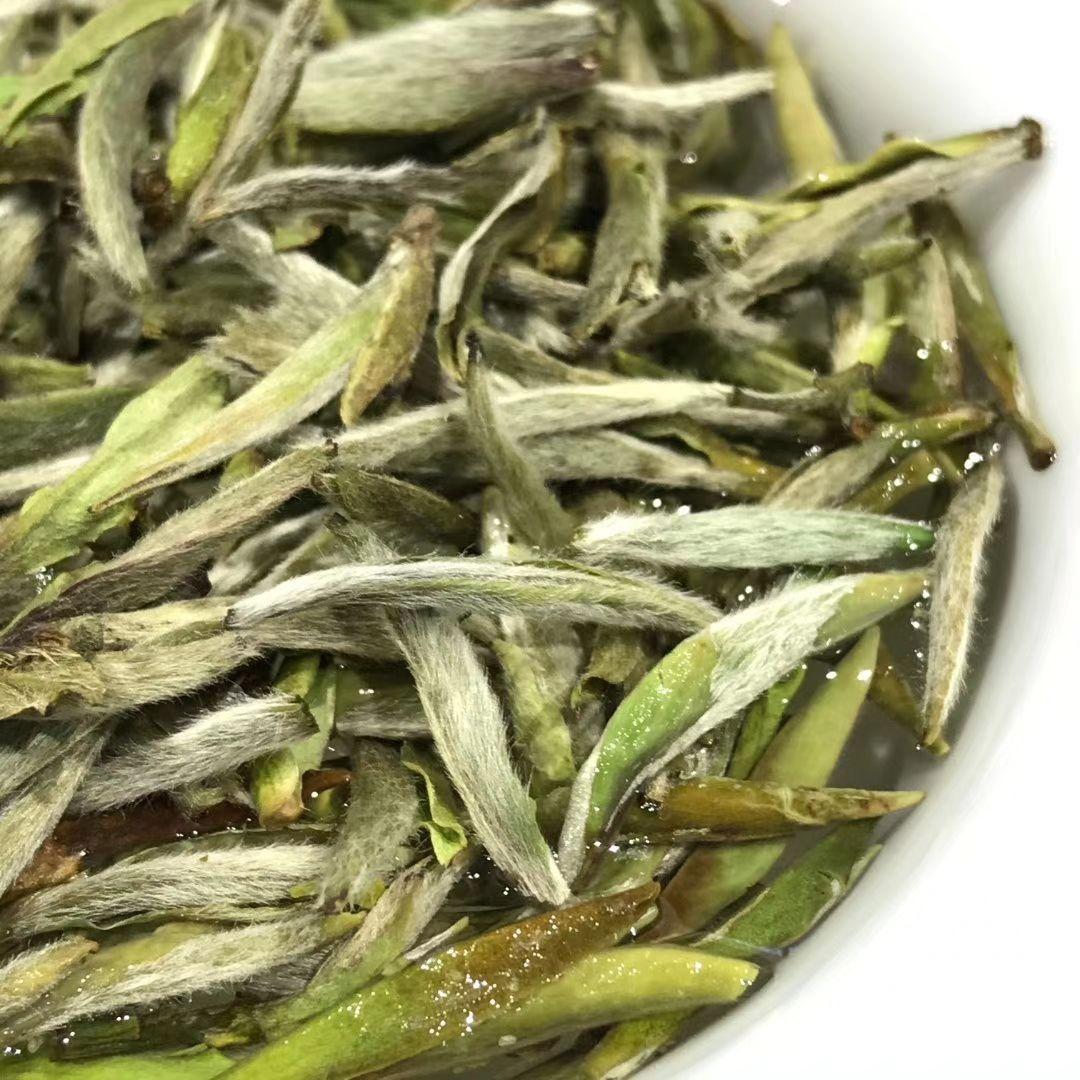 福鼎正宗白毫银针毫香是何方神圣