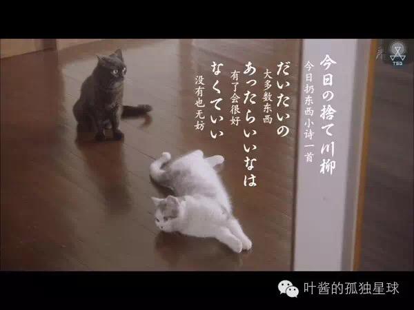 我的背包里空无一物 知乎