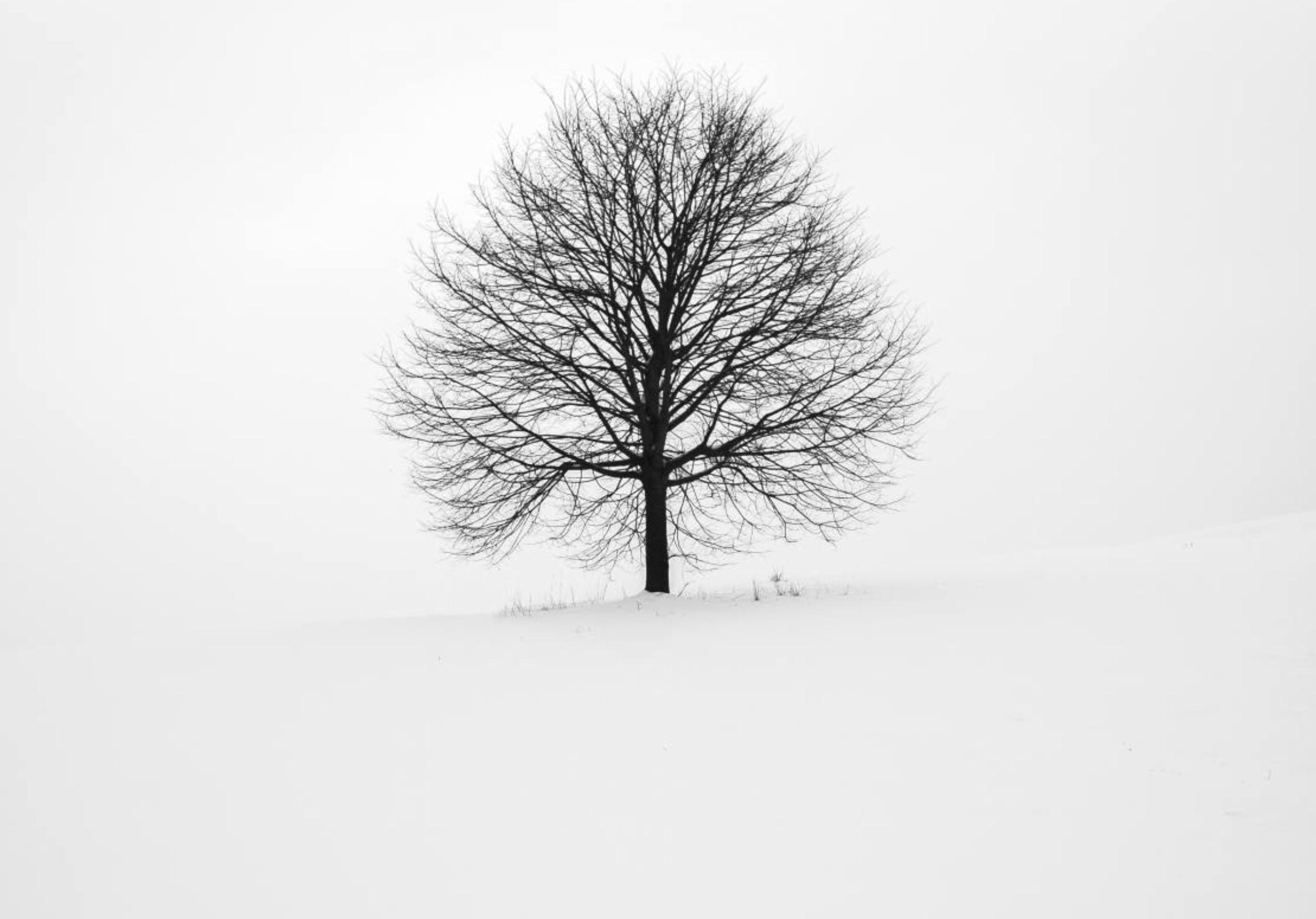 有没有在 ipad pro11寸上很震撼的超高清壁纸? - 知乎