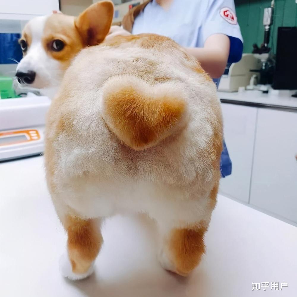 如何让自己不那么贪玩 v2-6511d5a90a817c4faa8515962658df74_r.jpg