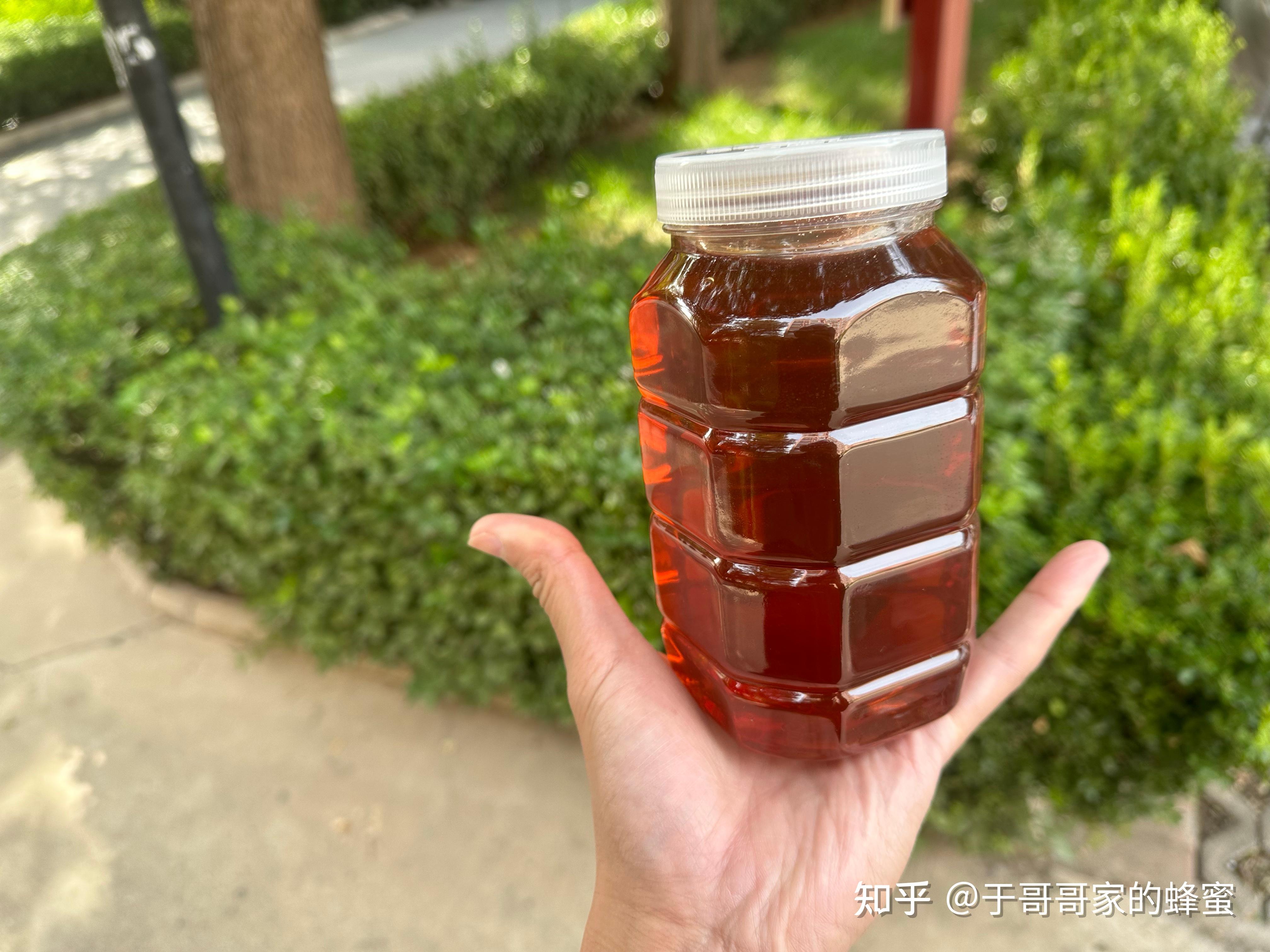 俄罗斯蜂蜜会过期吗知乎(俄罗斯进口蜂蜜怎么看保质期)