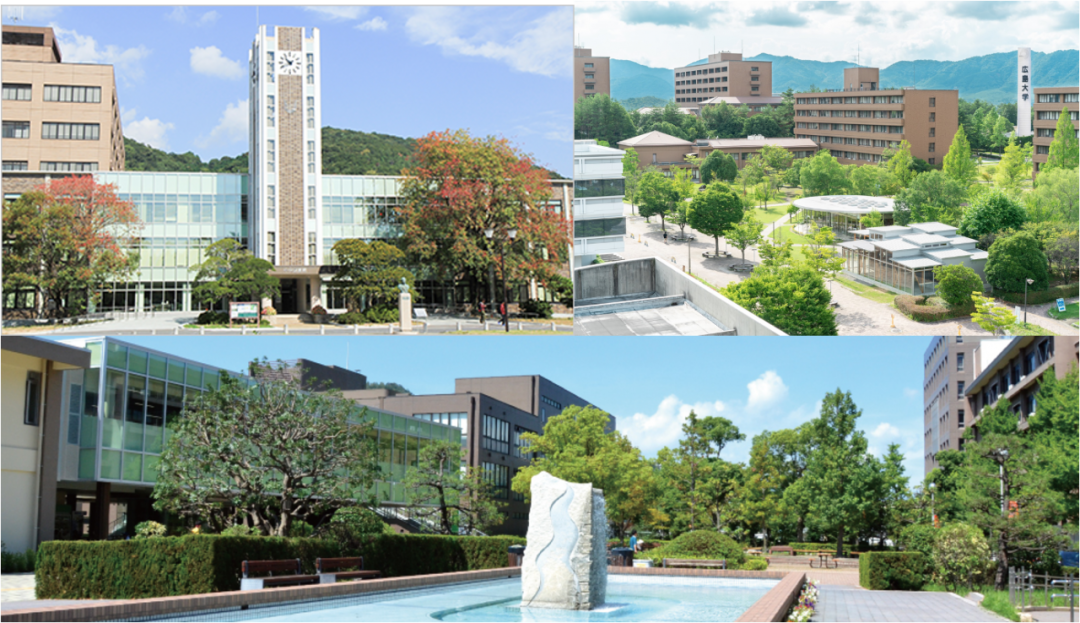 冲绳圈:鹿儿岛大学琉球大学立命馆apu基本处于准难关国立等级,没有