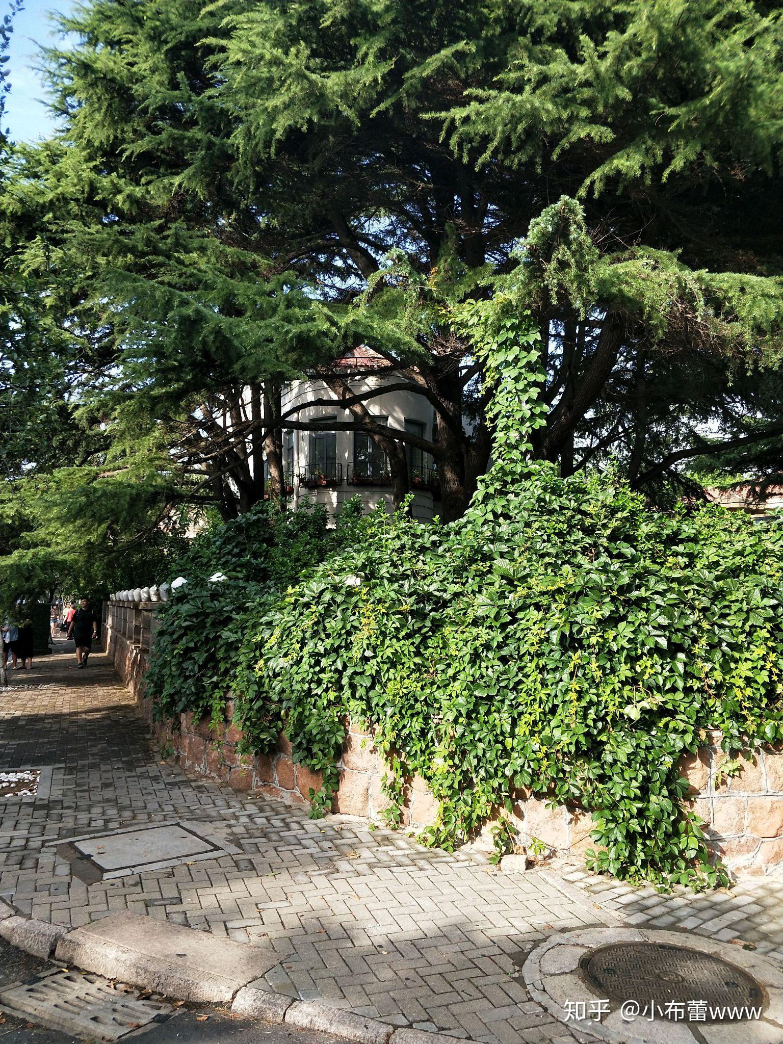 想去青岛旅拍求大神推荐青岛拍摄地点