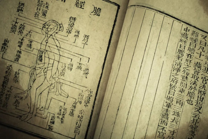 早敲胆经，晚揉肝经！一个运化，一个排泄！坚持下去想生病都难！ - 知乎