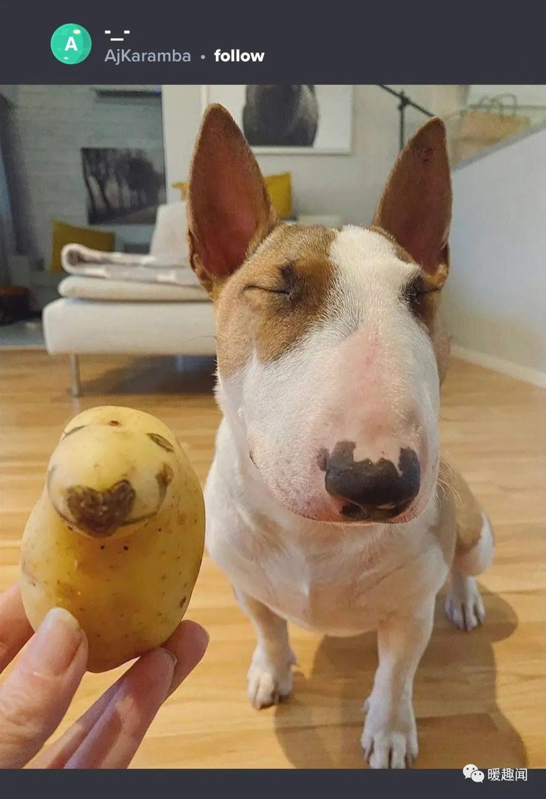 笑到肚子疼的沙雕搞笑幽默图片四十一