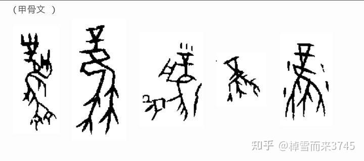 商字甲骨文怎么写图片