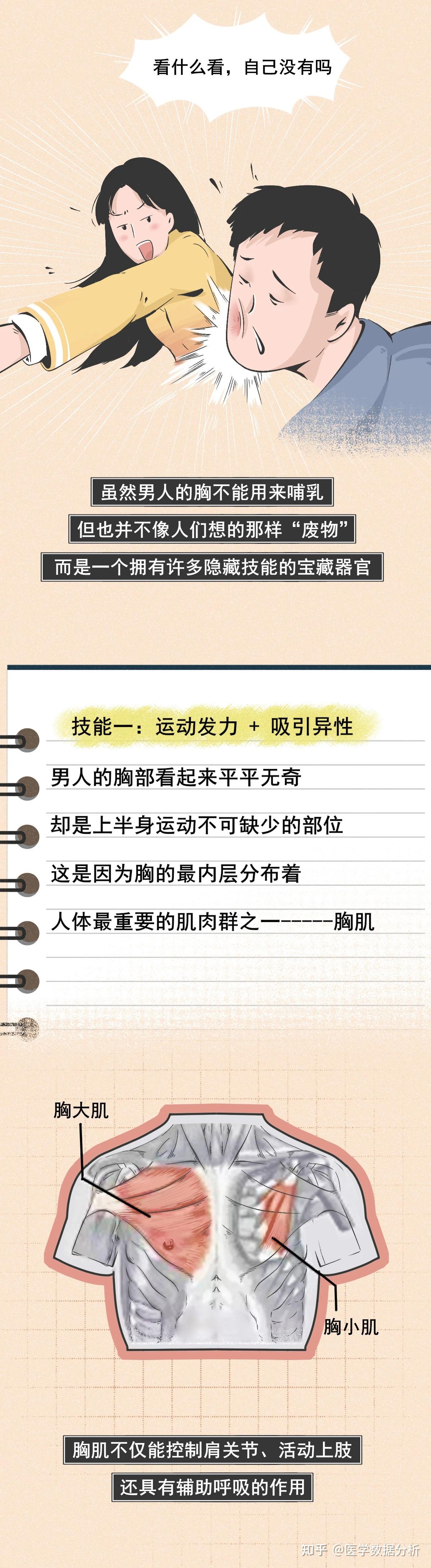 男人的胸有何作用一张图告诉大家