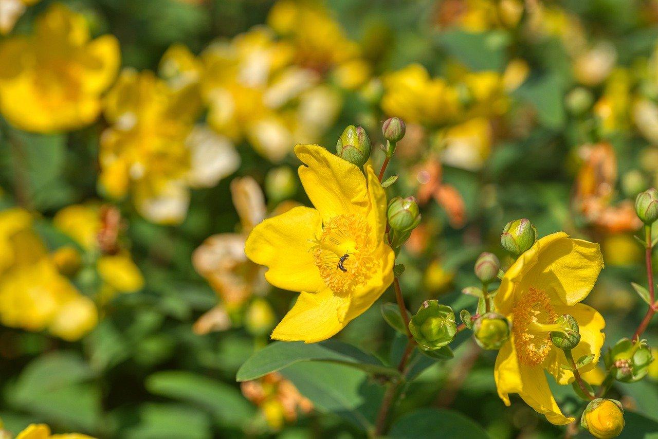 物业费构成分析