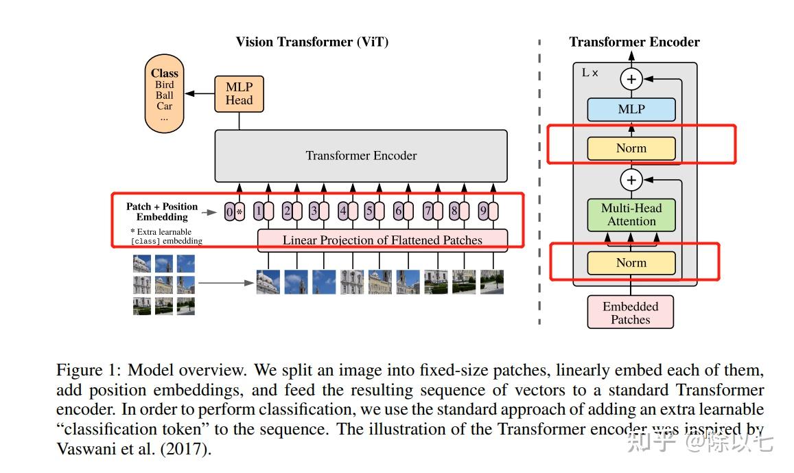 Vision Transformer的Pytorch代码实现和解读 - 知乎
