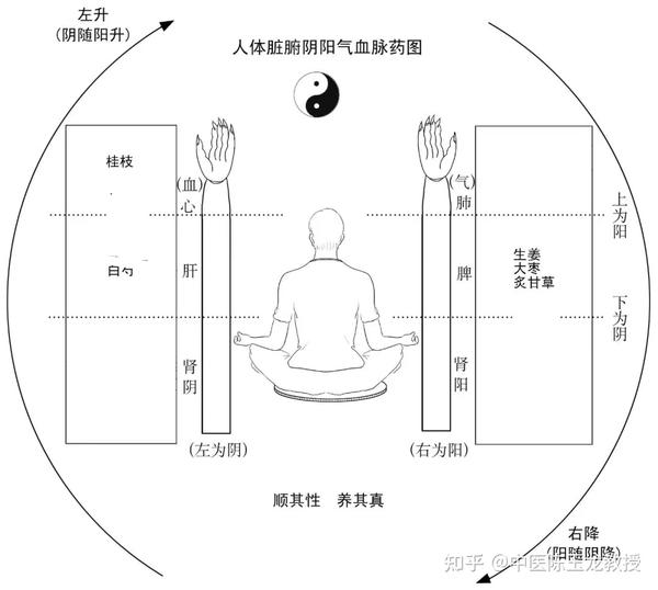 一个千古名方,上中下三焦通调,打通体内循环,调和阴阳百病消 - 知乎